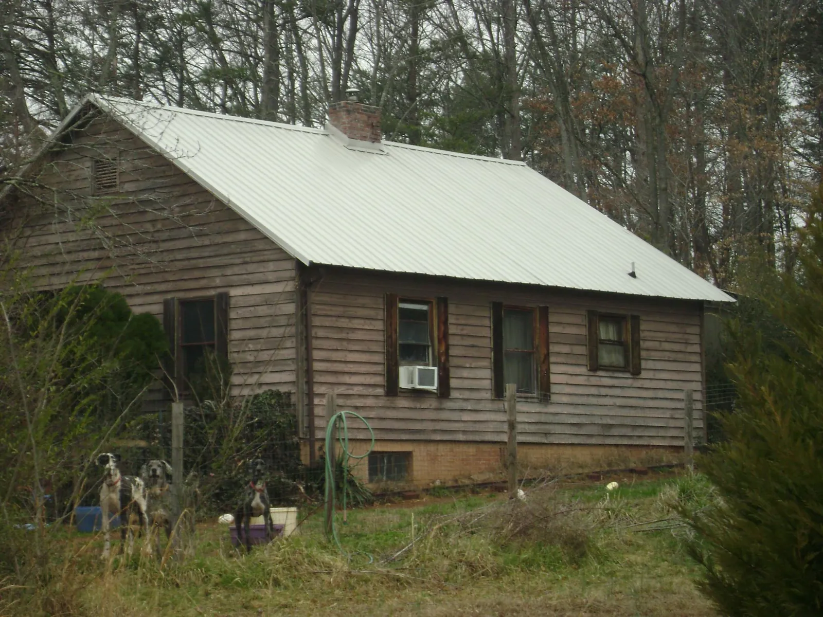 White metal roof on an old wood sided farmhouse, from a Asphalt Shingle Roof Repair job in Highlands